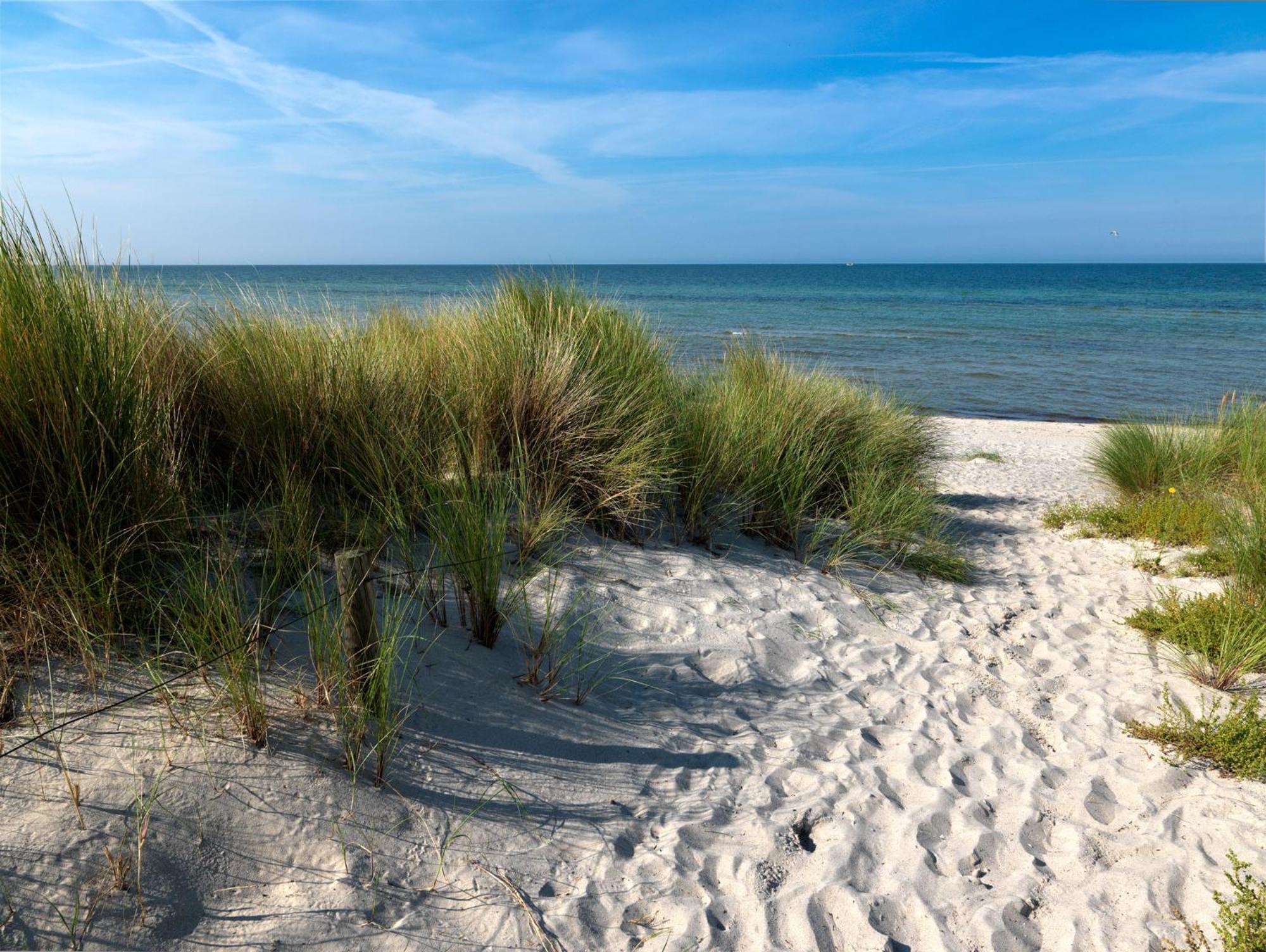 Daenische Ferienhaeuser Am Salzhaff Haus Kaept'N Nemo Insel Poel Exterior foto